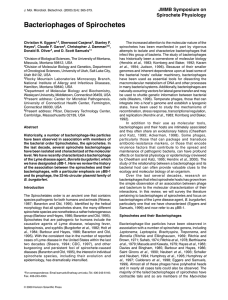 Bacteriophages of Spirochetes JMMB Symposium on Spirochete Physiology