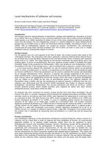 Local mechanisms of cohesive soil erosion