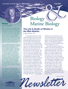 Biology Marine Biology  Notes