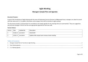 Agile Working Managers Sample Plan and Agendas