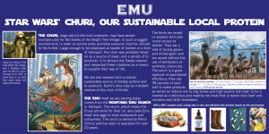 EMu star wars’ churi, our sustainable local protein