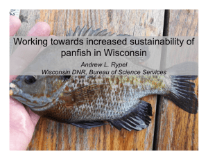 Working towards increased sustainability of panfish in Wisconsin Andrew L. Rypel