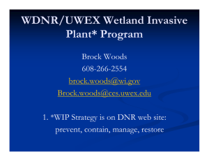 WDNR/UWEX Wetland Invasive Plant* Program Brock Woods 608-266-2554