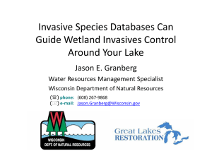 Invasive Species Databases Can  Guide Wetland Invasives Control  Around Your Lake Jason E. Granberg