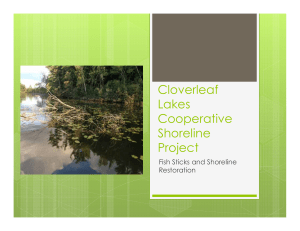 Cloverleaf Lakes Cooperative Shoreline