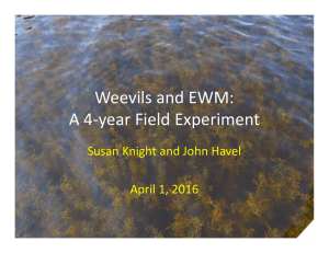 Weevils and EWM:  A 4‐year Field Experiment Susan Knight and John Havel April 1, 2016