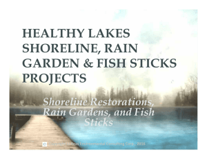 HEALTHY LAKES SHORELINE, RAIN GARDEN &amp; FISH STICKS PROJECTS