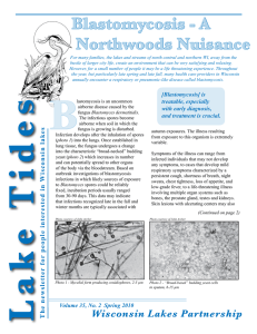 Blastomycosis - A Northwoods Nuisance