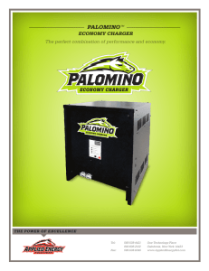 palomino  economy charger The perfect combination of performance and economy.
