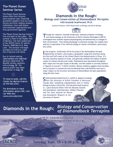 Diamonds in the Rough: The Planet Ocean Seminar Series