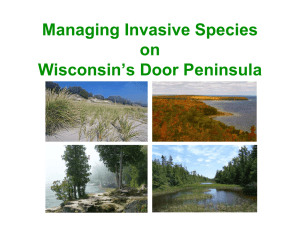 Managing Invasive Species on Wisconsin’s Door Peninsula
