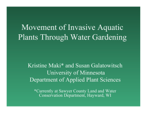 Movement of Invasive Aquatic Plants Through Water Gardening University of Minnesota