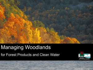 Managing Woodlands for Forest Products and Clean Water