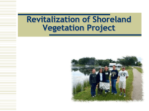 Revitalization of Shoreland Vegetation Project
