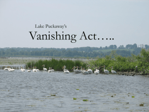 Vanishing Act….. Lake Puckaway’s