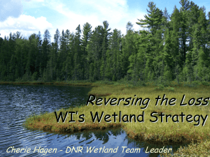 Reversing the Loss WI’s Wetland Strategy