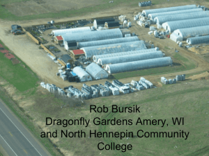 Rob Bursik Dragonfly Gardens Amery, WI and North Hennepin Community College