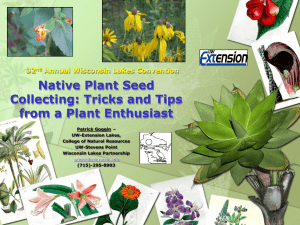 Native Plant Seed Collecting: Tricks and Tips from a Plant Enthusiast 32