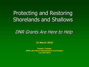 Protecting and Restoring Shorelands and Shallows DNR Grants Are Here to Help