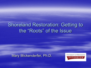 Shoreland Restoration: Getting to the “Roots” of the Issue Mary Blickenderfer, Ph.D.