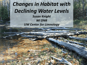Changes in Habitat with Declining Water Levels Susan Knight WI DNR