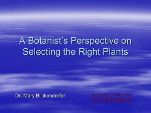 A Botanist’s Perspective on Selecting the Right Plants Dr. Mary Blickenderfer