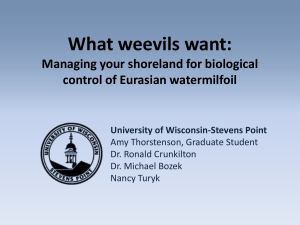 What weevils want: Managing your shoreland for biological control of Eurasian watermilfoil