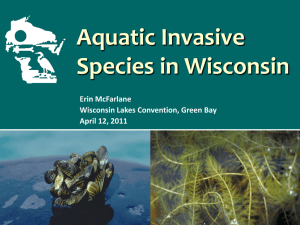 Aquatic Invasive Species in Wisconsin Erin McFarlane Wisconsin Lakes Convention, Green Bay