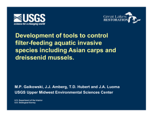 Development of tools to control filter-feeding aquatic invasive dreissenid mussels.