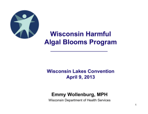 Wisconsin Harmful Algal Blooms Program Wisconsin Lakes Convention April 9, 2013