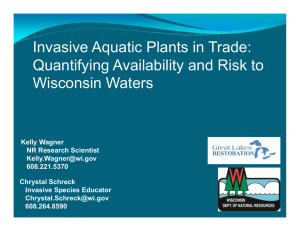Invasive Aquatic Plants in Trade: Quantifying Availability and Risk to Wisconsin Waters
