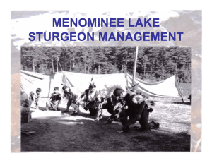 MENOMINEE LAKE STURGEON MANAGEMENT