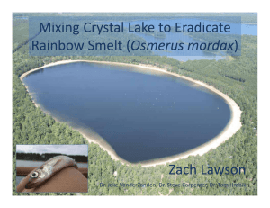 Mixing Crystal Lake to Eradicate  Osmerus mordax Zach Lawson Dr. Jake VanderZanden, Dr. Steve Carpenter, Dr. Tom Hrabik
