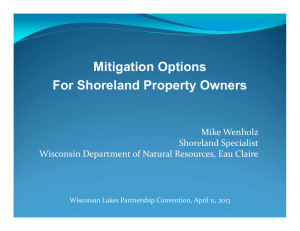 Mitigation Options For Shoreland Property Owners Mike Wenholz Shoreland Specialist