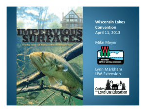 Wisconsin Lakes  Convention April 11, 2013 Mike Meyer