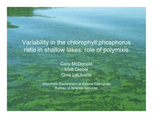 Variability in the chlorophyll:phosphorus ratio in shallow lakes: role of polymixis