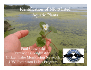 Identification of NR40-listed Aquatic Plants Paul Skawinski Statewide Coordinator –