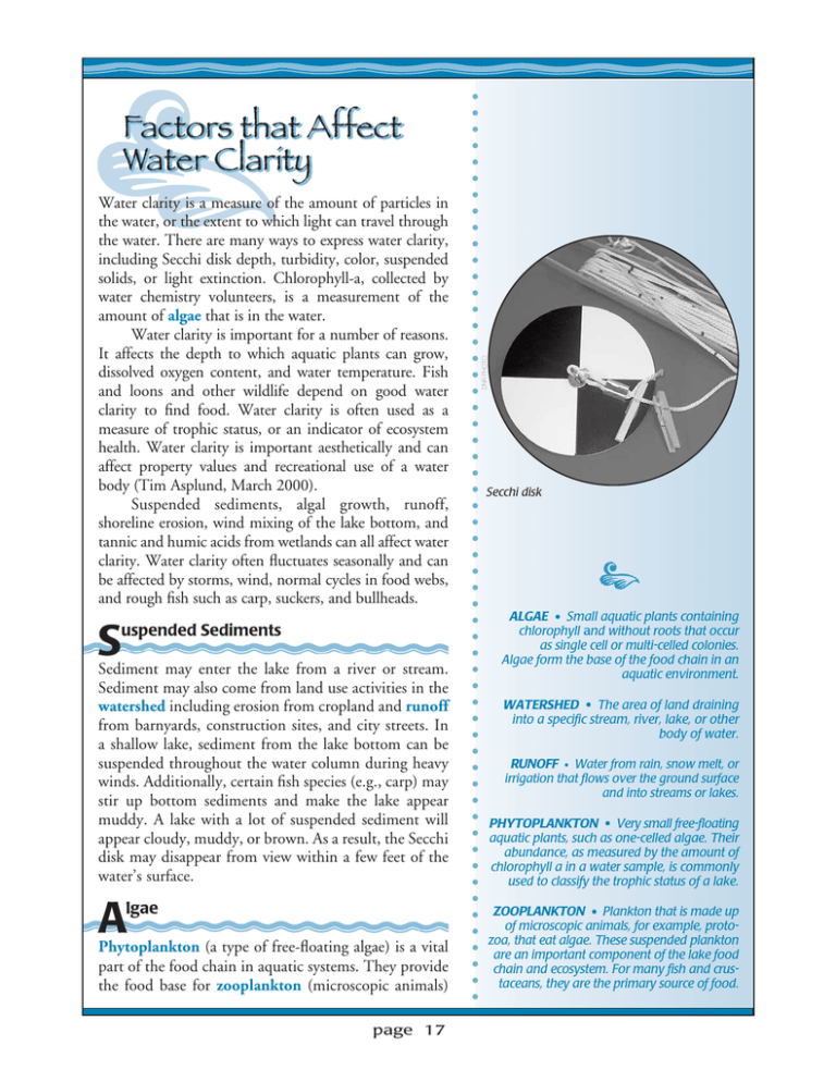 Factors that Affect Water Clarity