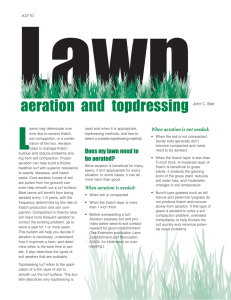 Lawn L aeration and topdressing