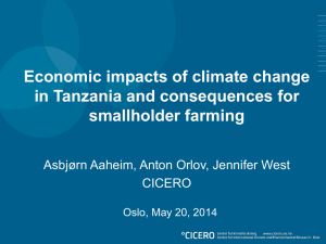 Economic impacts of climate change in Tanzania and consequences for smallholder farming