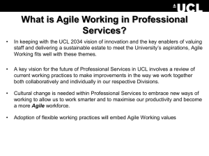 What is Agile Working in Professional Services?