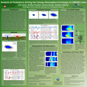 Analysis of Turbulence driving the Canopy-Atmosphere Exchange at CABINEX 2009