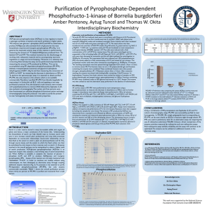 Purification of Pyrophosphate-Dependent Phosphofructo-1-kinase of Borrelia burgdorferi ABSTRACT