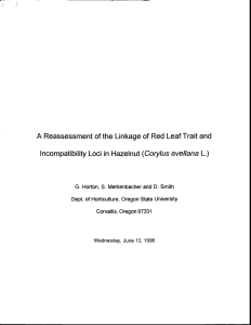 A Reassessment of the Linkage of Red Leaf Trait and