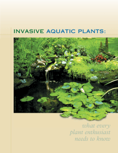what	every plant	enthusiast needs	to	know invasive