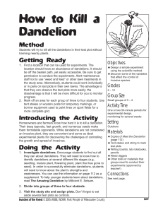 How to Kill a Dandelion Method Getting Ready