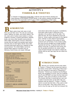 ACTIVITY 6 TIMBER-R-R THIEVES