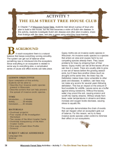 ACTIVITY 7 THE ELM STREET TREE HOUSE CLUB