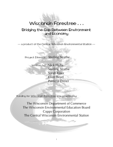 Wisconsin Forestree . . . Bridging the Gap Between Environment and Economy