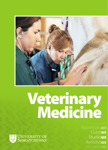 Veterinary Medicine Prestigio Adventuro
